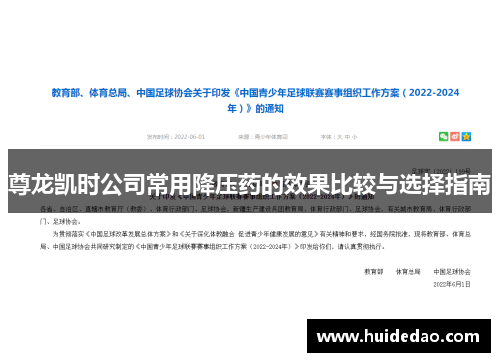 尊龙凯时公司常用降压药的效果比较与选择指南